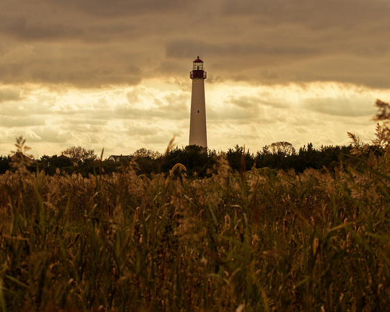 Cape May Lighthouse-3828