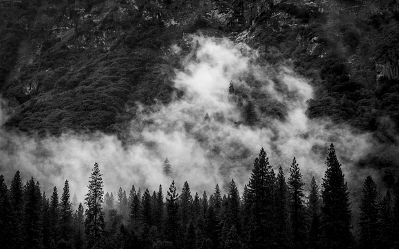 Fog in Yosemite Valley -