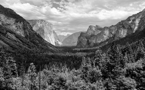 Yosemite Valley BW-