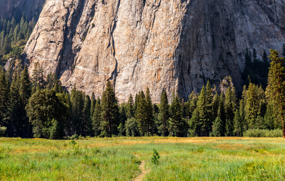 Yosemite Valley Meadow - Color-