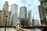 Chicago-