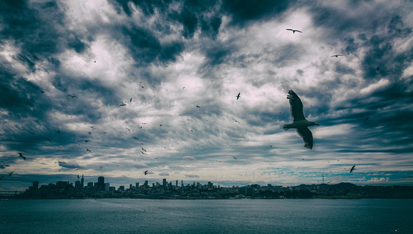 San Francisco from Alcatraz-