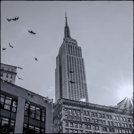 empire state morning 7689 square-