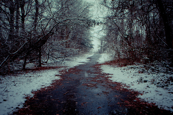 Winter path-0744