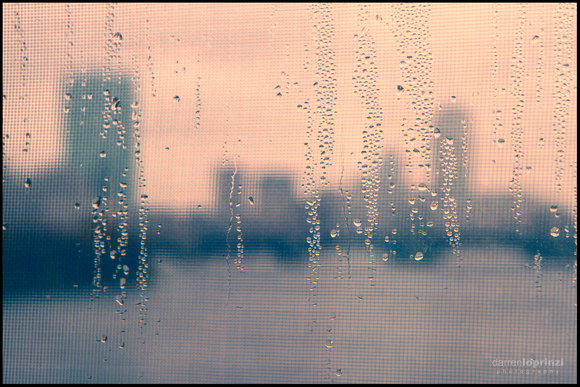 Rainy City-