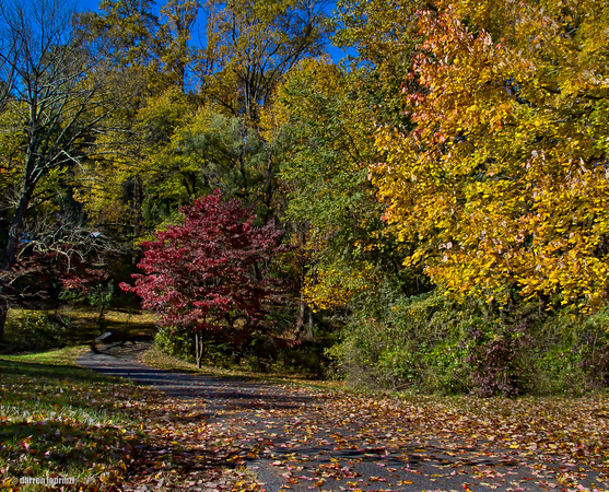 Autumn Winding Path3-standardshrp-