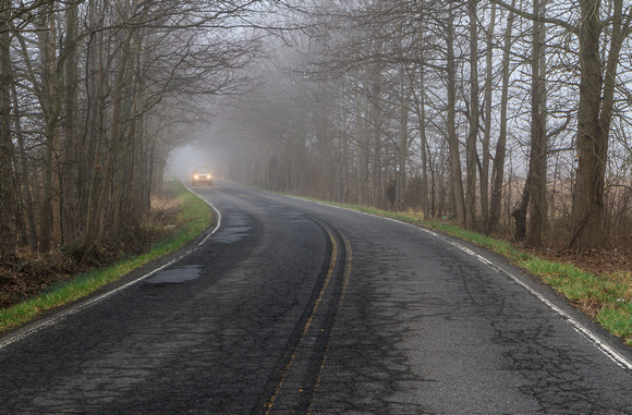 Foggy Road w car-2316