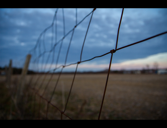 365_2 - 1.16.2012_Wire_Fence_dusk-