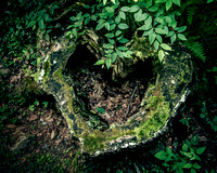 Green Heart-