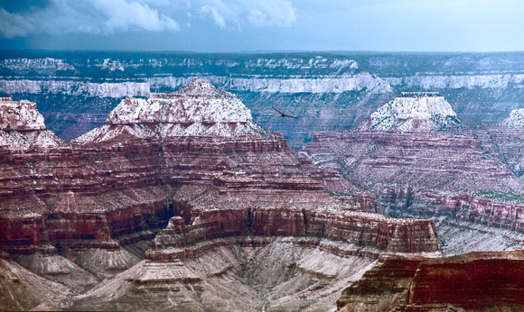 AZ_Grand Canyon_Soar-